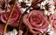 Flowers By Elise - thumb 3