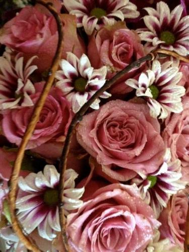 Flowers By Elise - Dentist Find 3