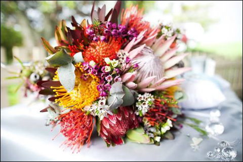 Bloomz On Central - Dentist Find 0