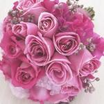 Daisy Maisy Flowers - Dentist Find 0