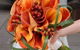 Daisy Maisy Flowers - thumb 1