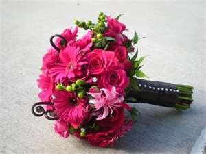 Daisy Maisy Flowers - Dentist Find 2