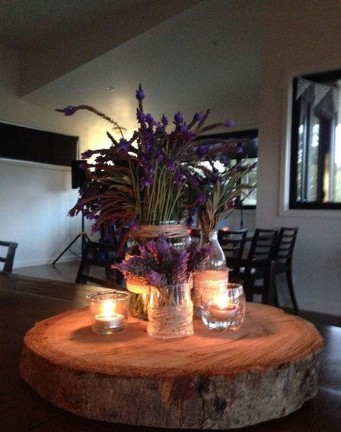 Amongst The Sticks - Dentist Find 0