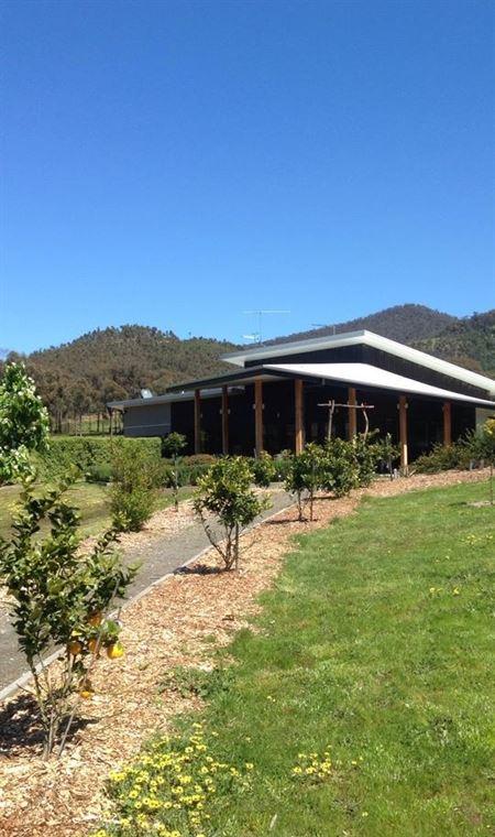 Amongst The Sticks - Dentist Find 2