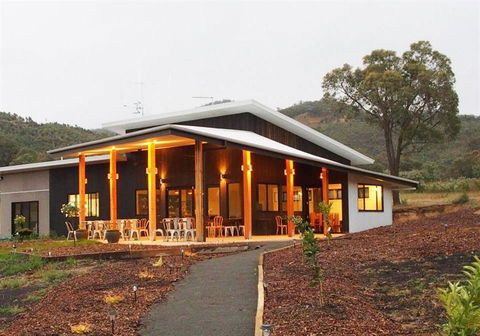 Amongst The Sticks - Dentist Find 3