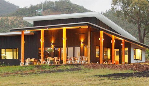 Amongst The Sticks - Dentist Find 5