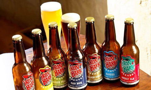 Ironbark Brewery - Dentist Find 0
