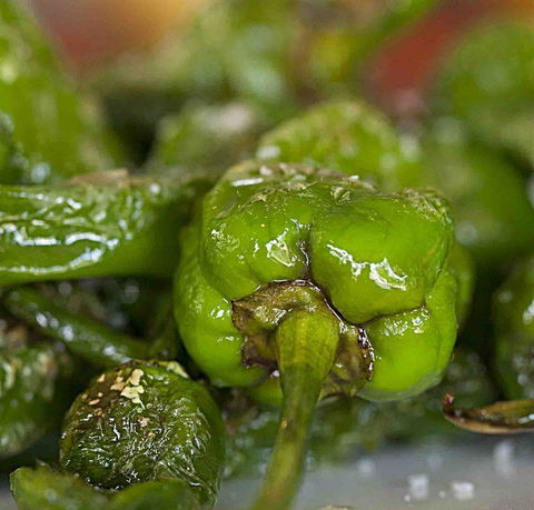 Tapas Tapas Bodega - Dentist Find 7