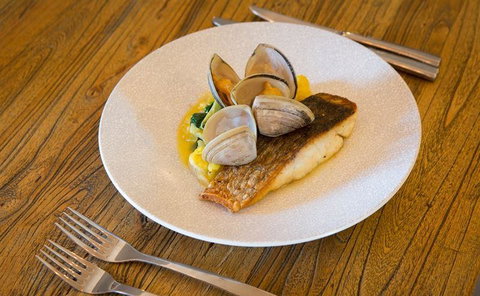 Palki Restaurant - Dentist Find 17
