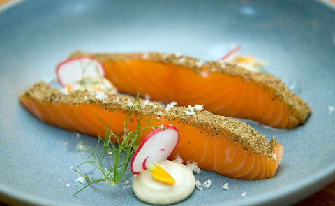 Seed Winehouse + Kitchen - Dentist Find 9