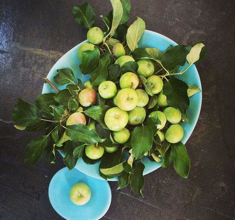 Seed Winehouse + Kitchen - Dentist Find 6