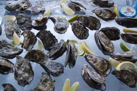 Berry's Bay Brasserie - Dentist Find 16