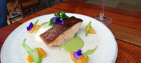 To The Woods - Dentist Find 0