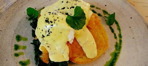 To The Woods - Dentist Find 2