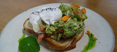 To The Woods - Dentist Find 3