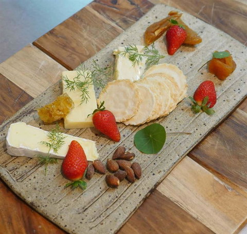 To The Woods - Dentist Find 6