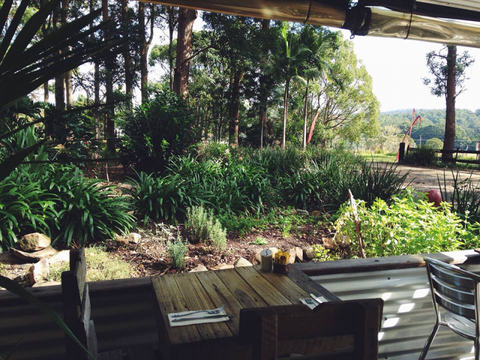Kafe Kookaburra - Dentist Find 3