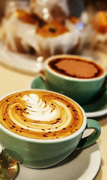 Unico Espresso - Dentist Find 4