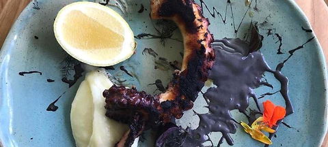 Potager - Dentist Find 0