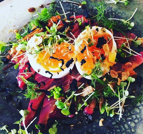 Potager - Dentist Find 11