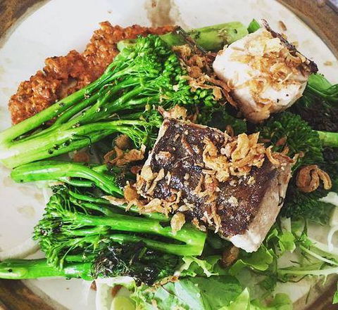 Potager - Dentist Find 12