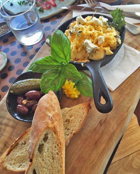 Potager - Dentist Find 13