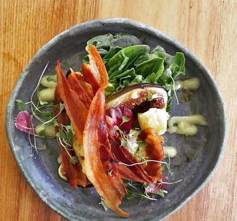 Potager - Dentist Find 5