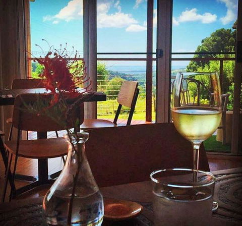 Potager - Dentist Find 8