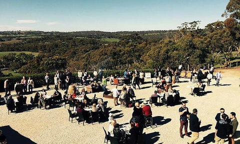 Bush DeVine Cafe - Dentist Search 5