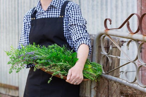 Verdure Bistro - Dentist Find 0