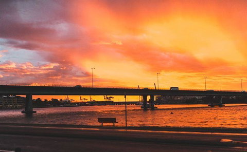 Venery - Dentist Search 16