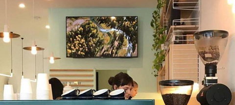 Venery - Dentist Search 3