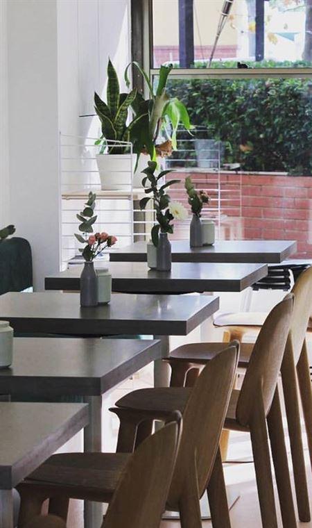 Venery - Dentist Search 4