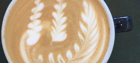 Venery - Dentist Search 7