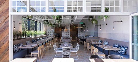 Jensens Restaurant - Dentist Find 3