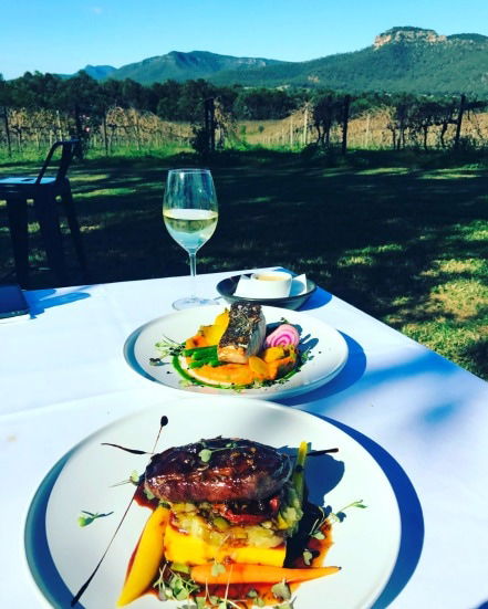 Mount Broke Wines Restaurant - Dentist Find 0