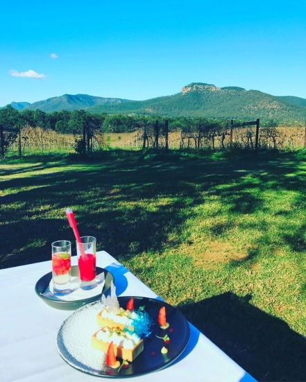 Mount Broke Wines Restaurant - Dentist Find 1