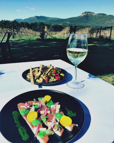 Mount Broke Wines Restaurant - Dentist Find 2