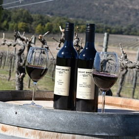 Mount Broke Wines Restaurant - Dentist Find 5