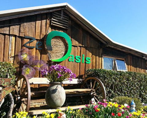 Zen Oasis Vegetarian Restaurant - Dentists Australia 0