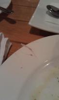 Hallam's Waterfront Restaurant - Dentist Find 4