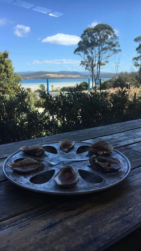 Get Shucked Oyster - Dentist Find 4