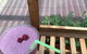 Glebe Gardens - thumb 0