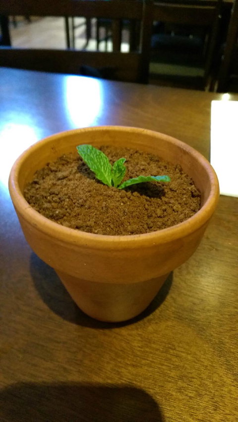 Harmony Modern Chinese Cuisine - Dentist Search 7