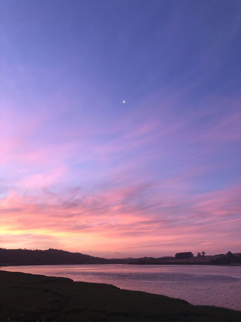 Rosevears Hotel - Dentist Search 1