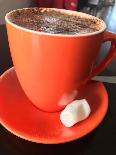 The Chocolate Gallery & Cafe - Dentist Find 4