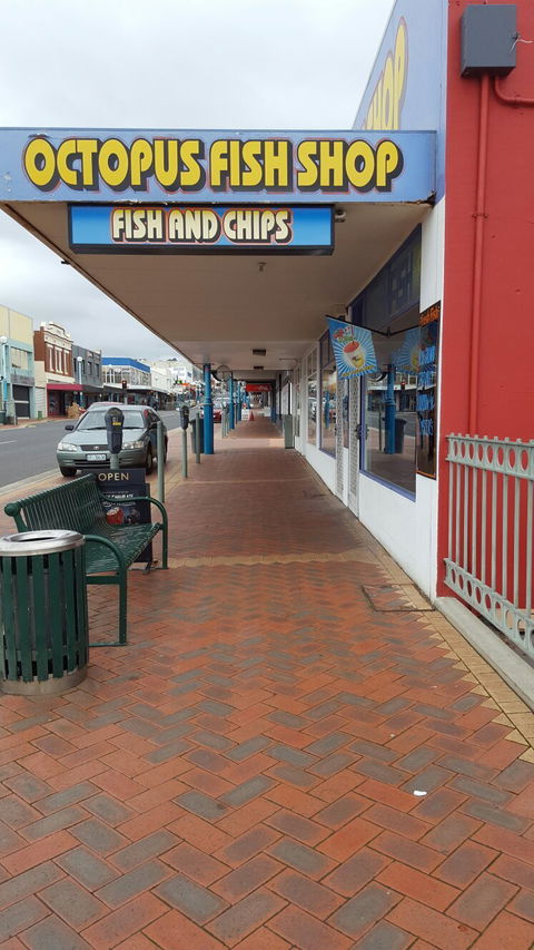 The Octopus Fish Shop - Dentist Find 2
