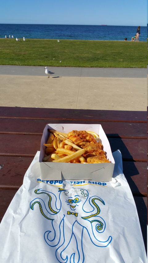 The Octopus Fish Shop - Dentist Find 3