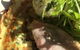 The Picnic Basket - thumb 1