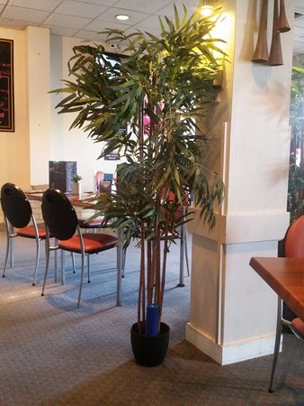 Westbury Hotel - Dentist Find 0